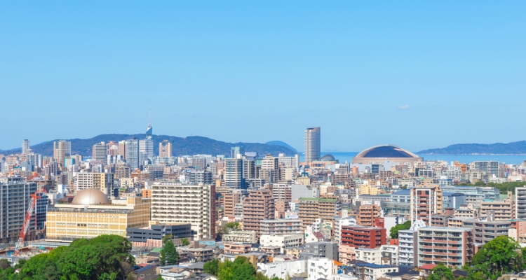 シャチキャリの4つの特徴